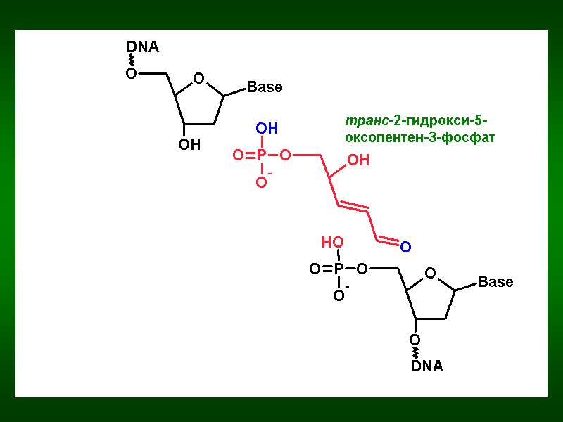 транс-2-гидрокси-5-оксопентен-3-фосфат